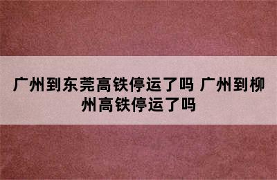 广州到东莞高铁停运了吗 广州到柳州高铁停运了吗